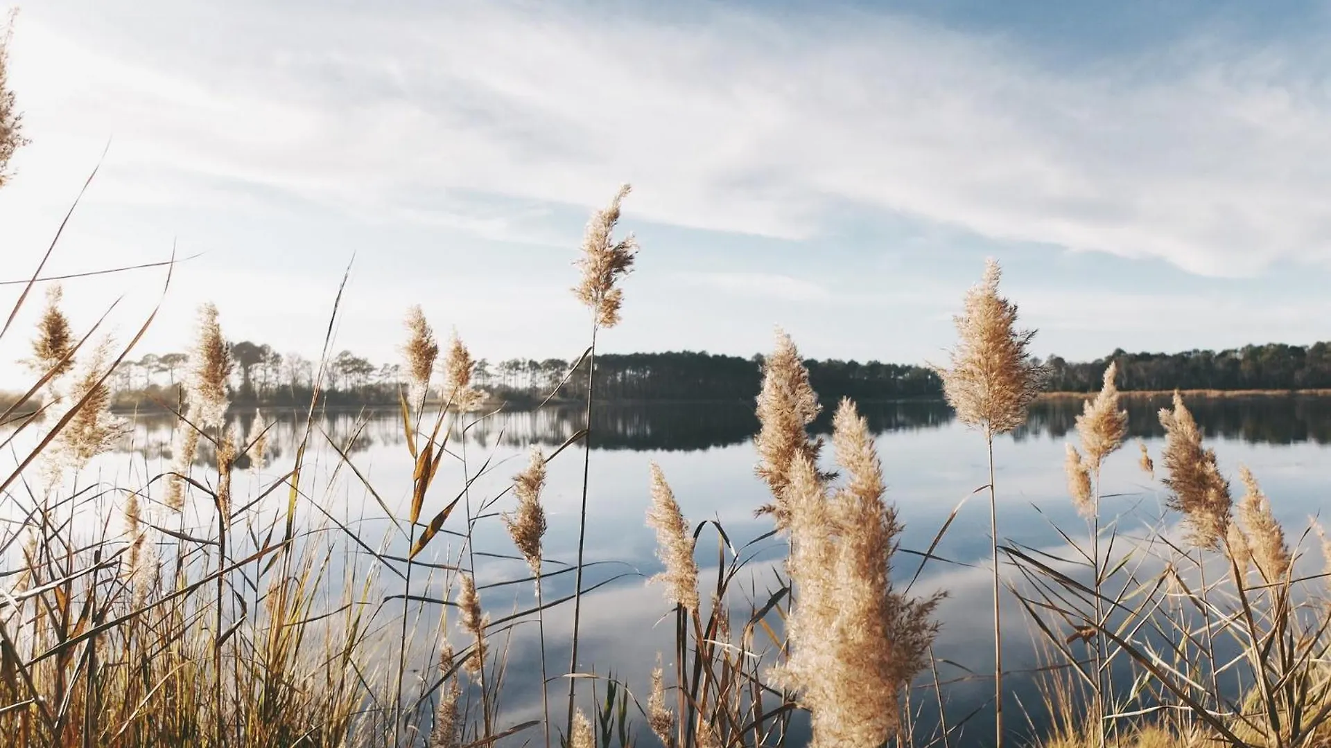 Hotel Amendes Haus Am See - Neueroeffnung Spalt Germania